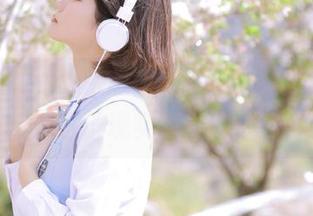 迷失在355fun的链接里，宛如走进了现实版的奇遇记！