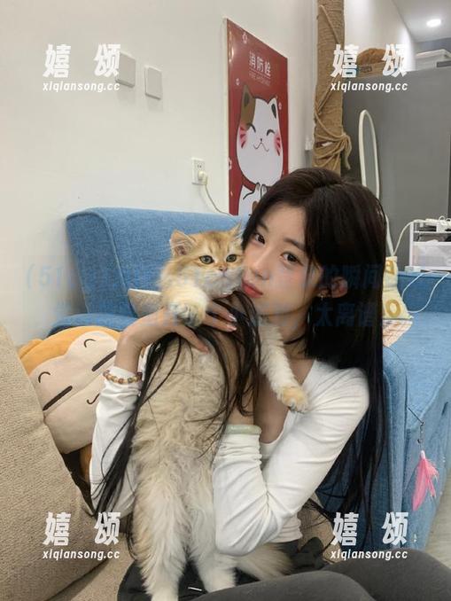51cg 为什么51cgfun登录的瞬间让我觉得脑袋里开了个小派对,太离谱!