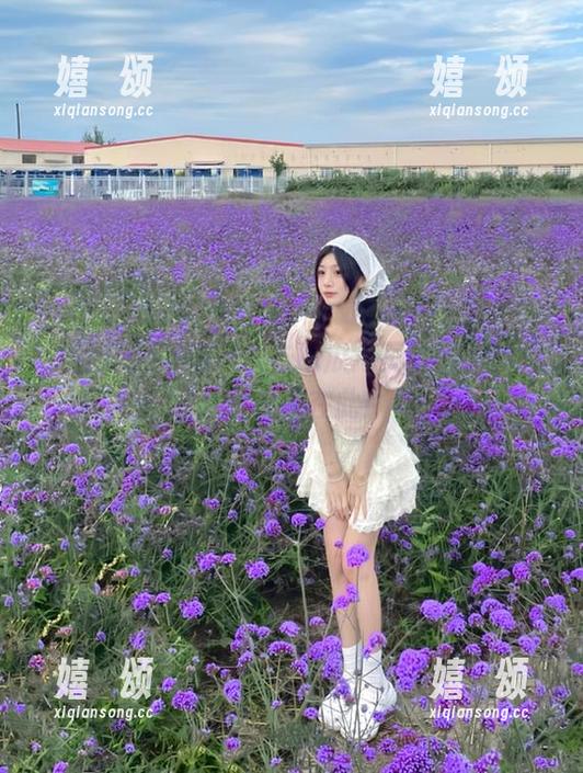 黑瓜与吃瓜网页版的微妙关系，链接在此！