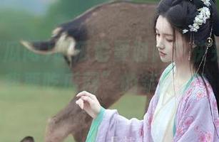 吃瓜也要时尚？快来试试“我要吃瓜网”的苹果版！